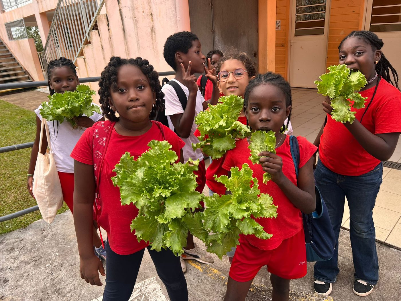 Récolte du jardin
